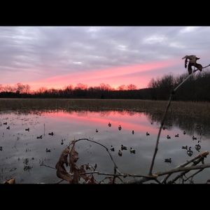 Meet your Posher, Keith